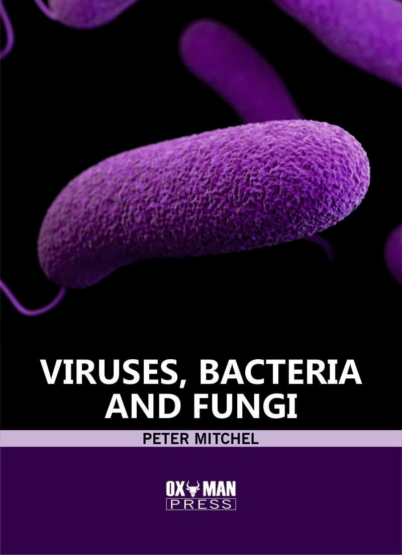 Viruses, Bacteria, And Fungi