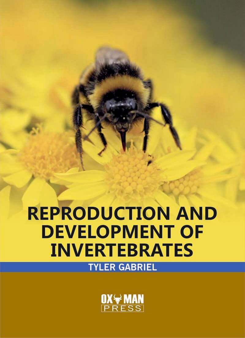 Reproduction and Development of Invertebrates
