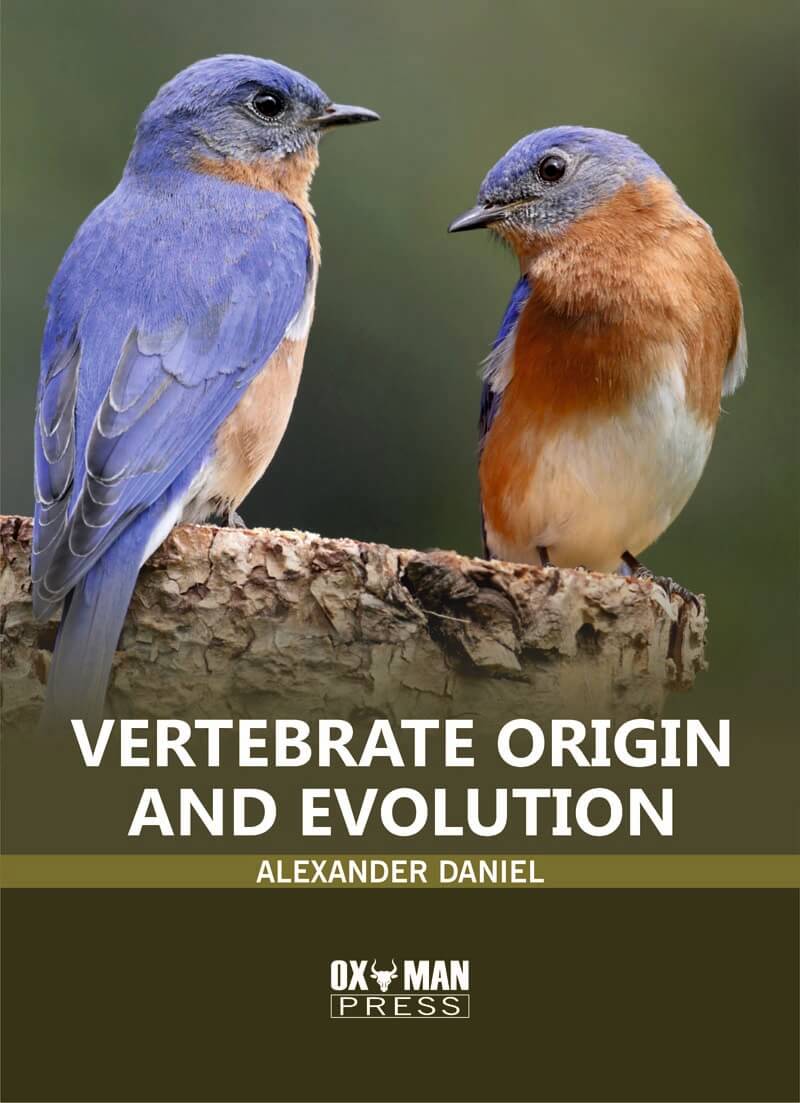 Vertebrate Origin And Evolution